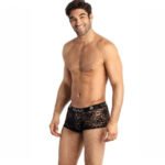 Romance boxer